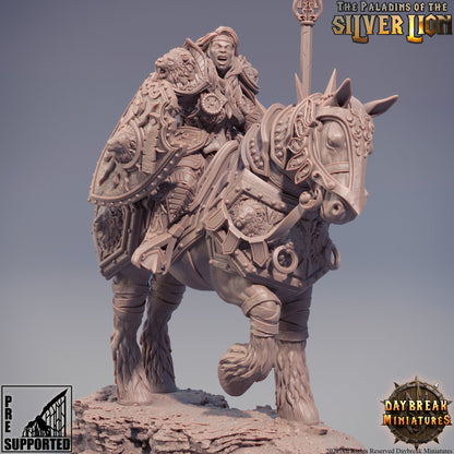 Paladins of the Silver Lion - 9 Piece Compete Set