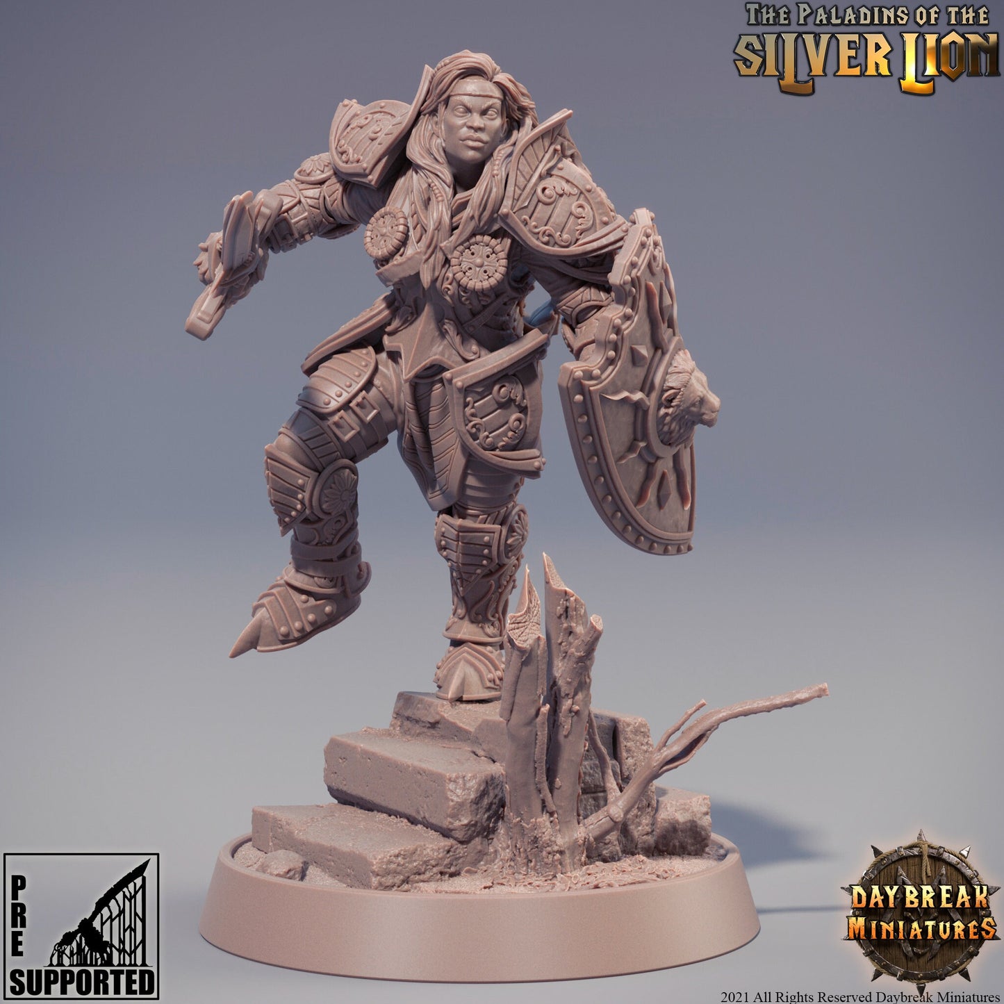 Paladins of the Silver Lion - 9 Piece Compete Set