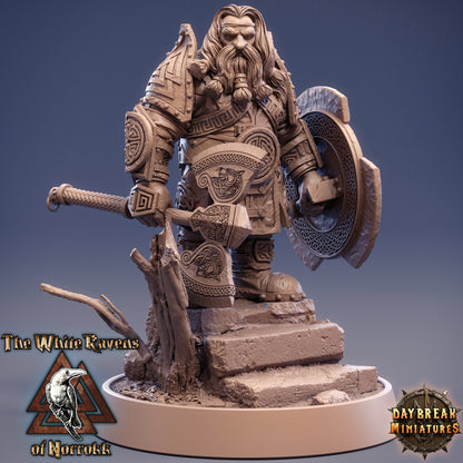 Dwarves of the White Ravens of Norrokk - 11 Piece Compete Set