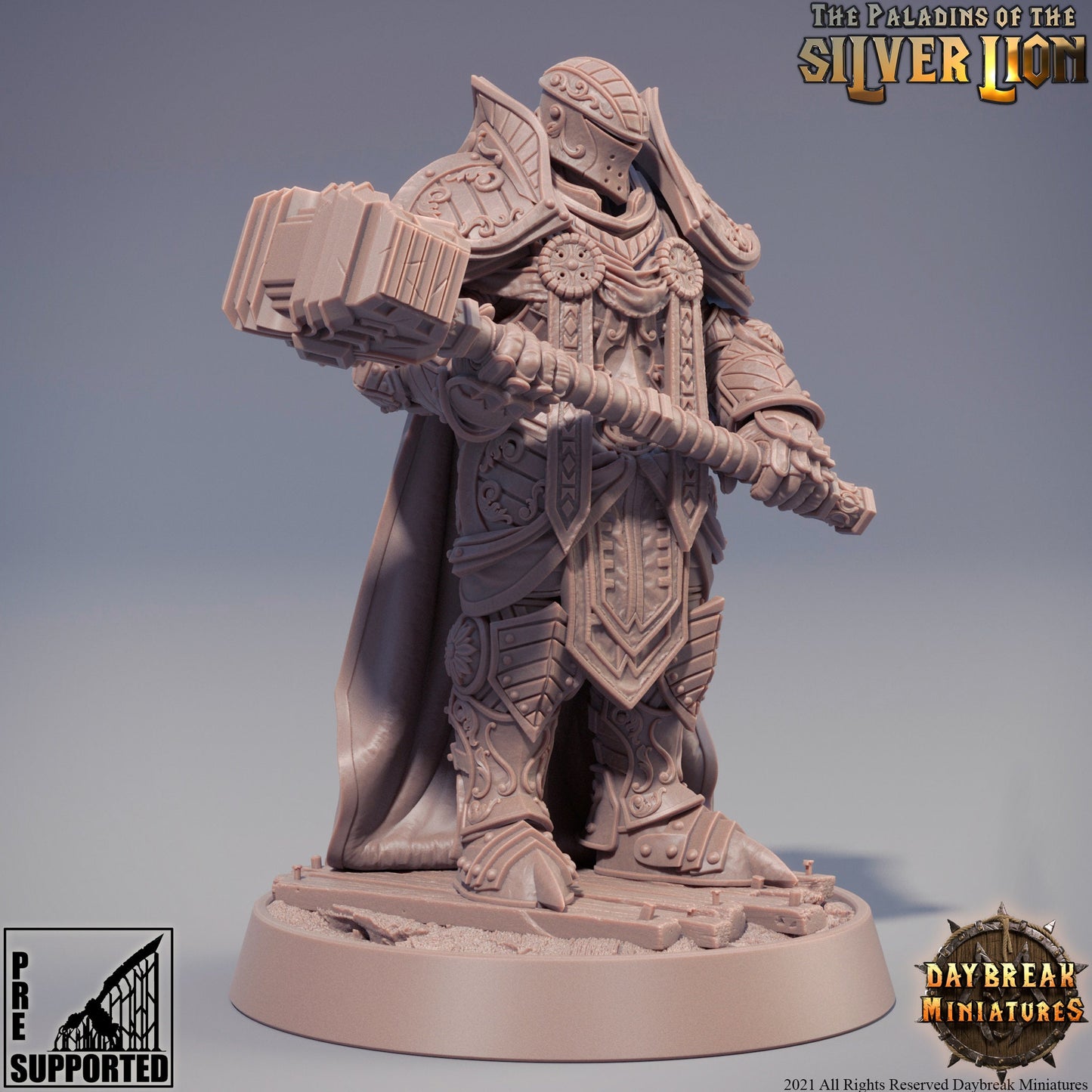 Paladins of the Silver Lion - Chlodvig du Marteau Lourd