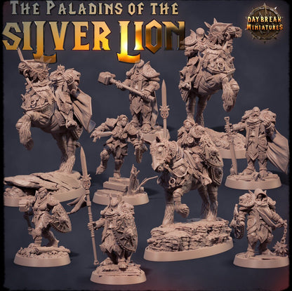 Paladins of the Silver Lion - 9 Piece Compete Set