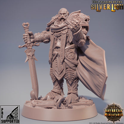 Paladins of the Silver Lion - 9 Piece Compete Set