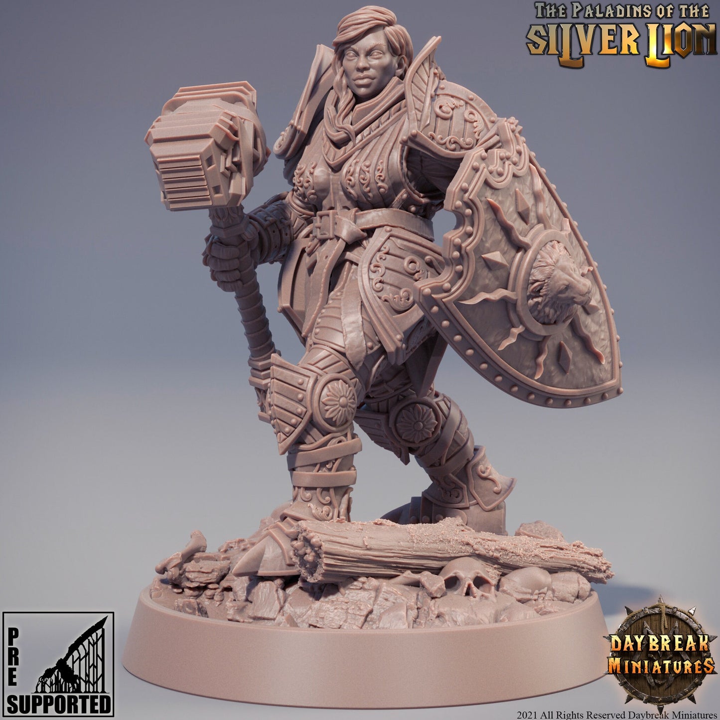 Paladins of the Silver Lion - 9 Piece Compete Set