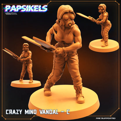 Crazy Mind Vandals  | Borderlands Style