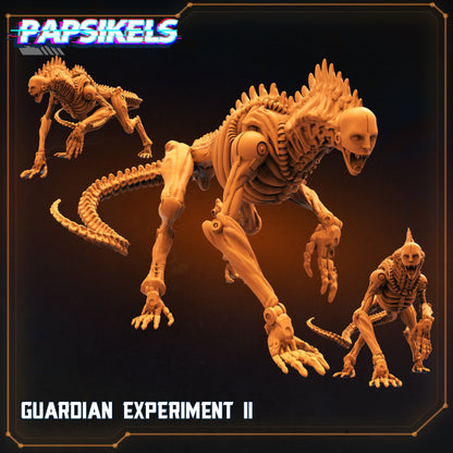 Guardian Experiment