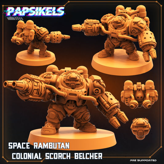 Space Rambutan -  Colonial Scorch Belcher