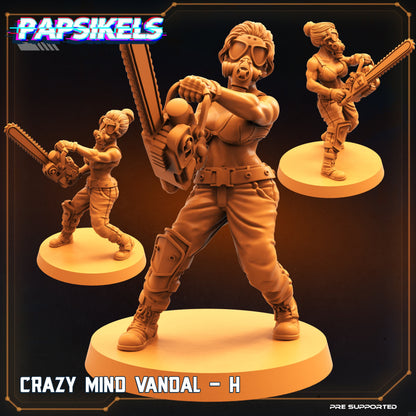 Crazy Mind Vandals  | Borderlands Style