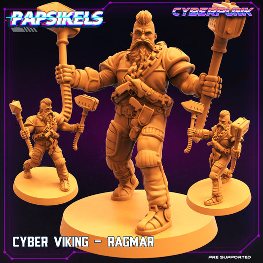 Cyber Viking