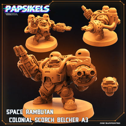 Space Rambutan -  Colonial Scorch Belcher