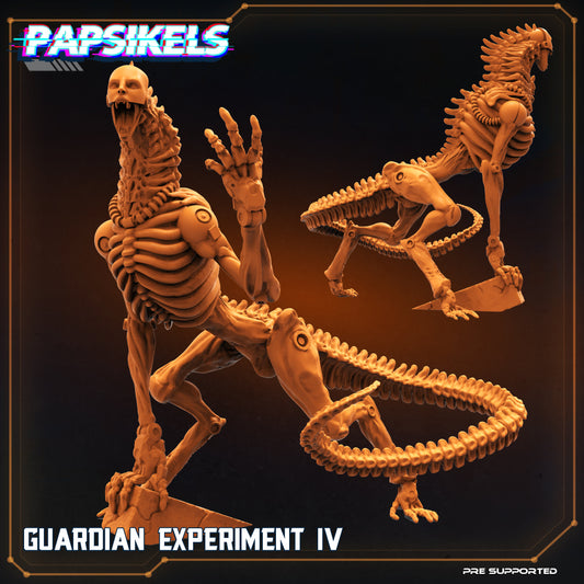 Guardian Experiment IV