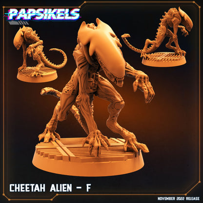 Cheetah Alien