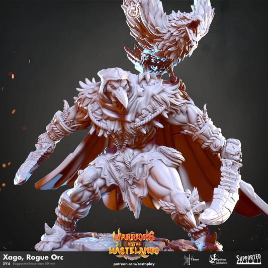 Rogue Orc - Xago