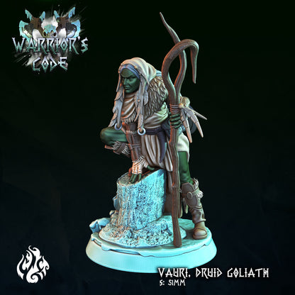 Orc Druid Golliath - Vauri