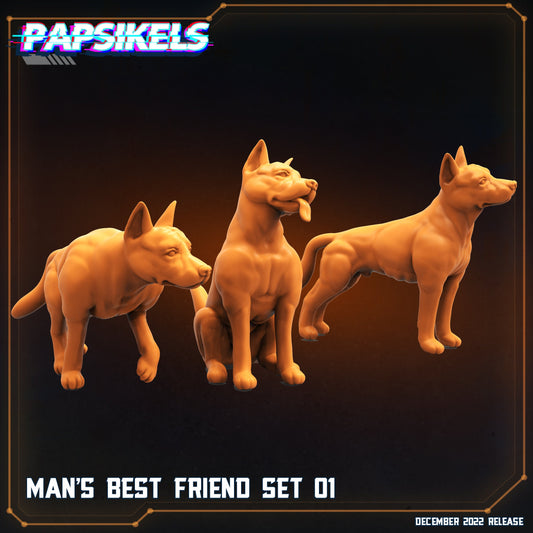 Mans Best Friend Set - Set of 3