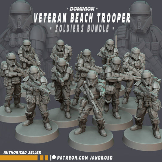 Veteran Beach Troopers - Set of 11