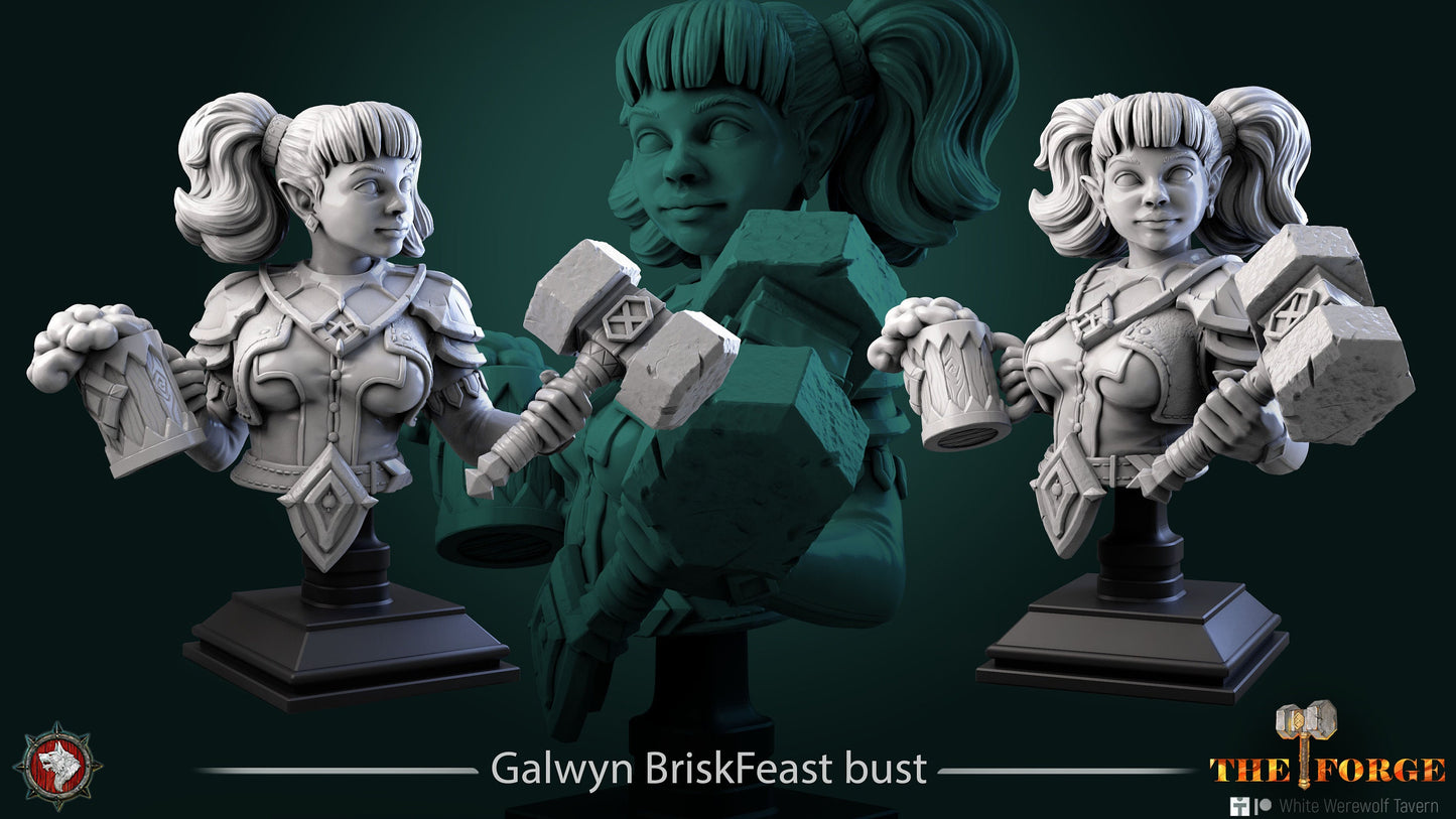 Galwyn BriskFeast - Bust