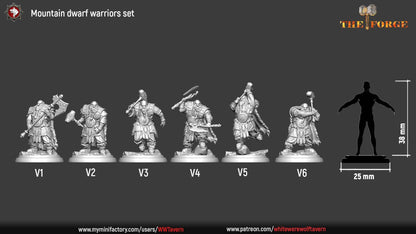 Mountain Dwarf Warriors - Set of 6