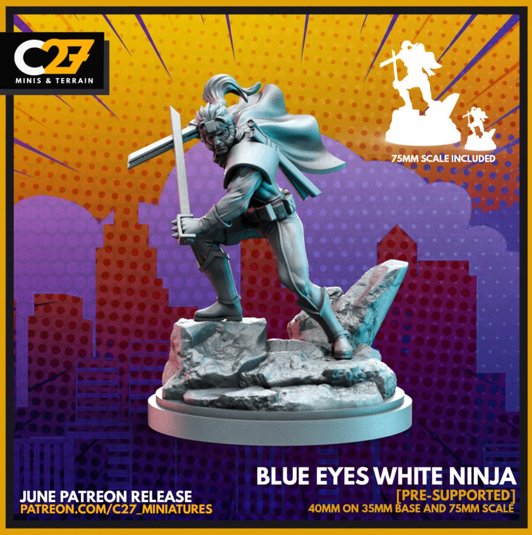 Blue Eyes White Ninja