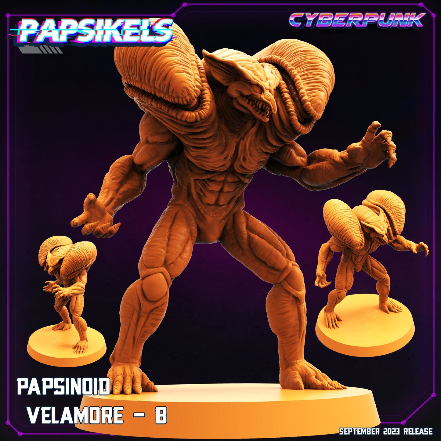 Papsinoid Velamore - B